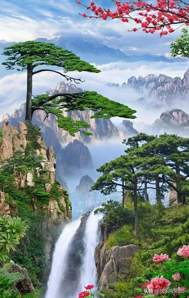 拯救可爱小浣熊