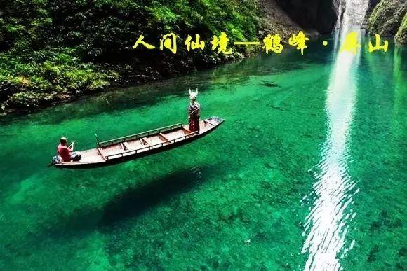 评论丨丹顶鹤被牵上大街当猴耍,花式宠客不能丢了底线