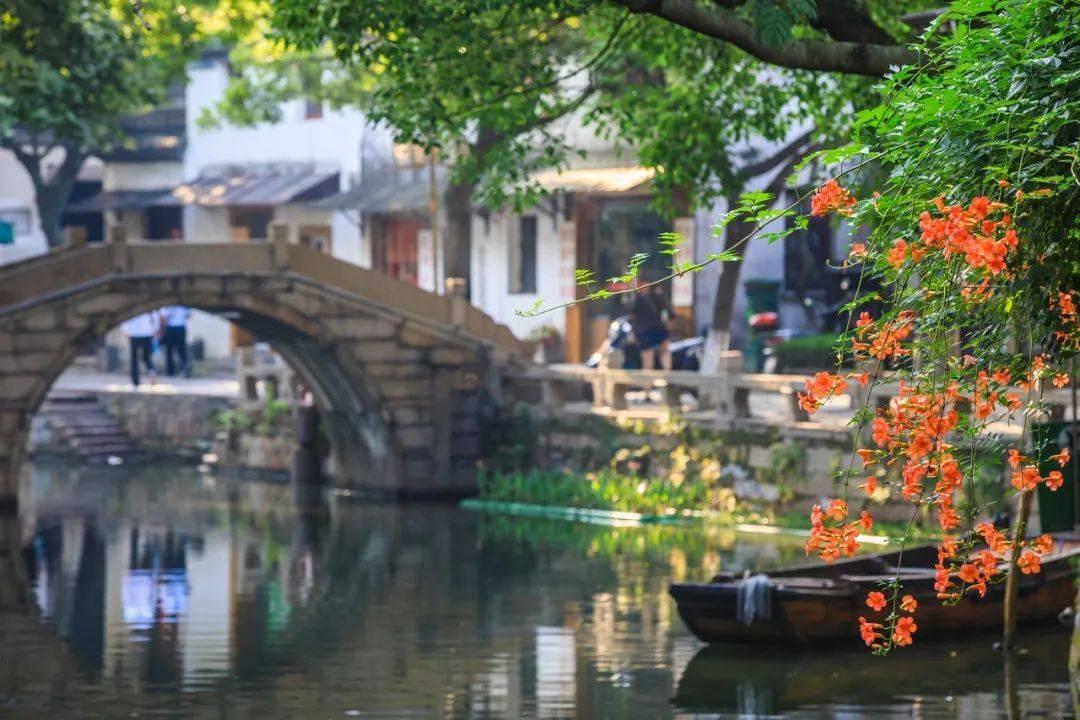 拯救小萌虎
